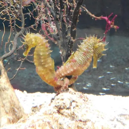 7even Ground Floor Διαμέρισμα