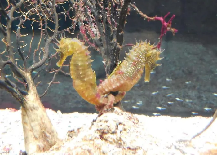 7even Ground Floor 公寓